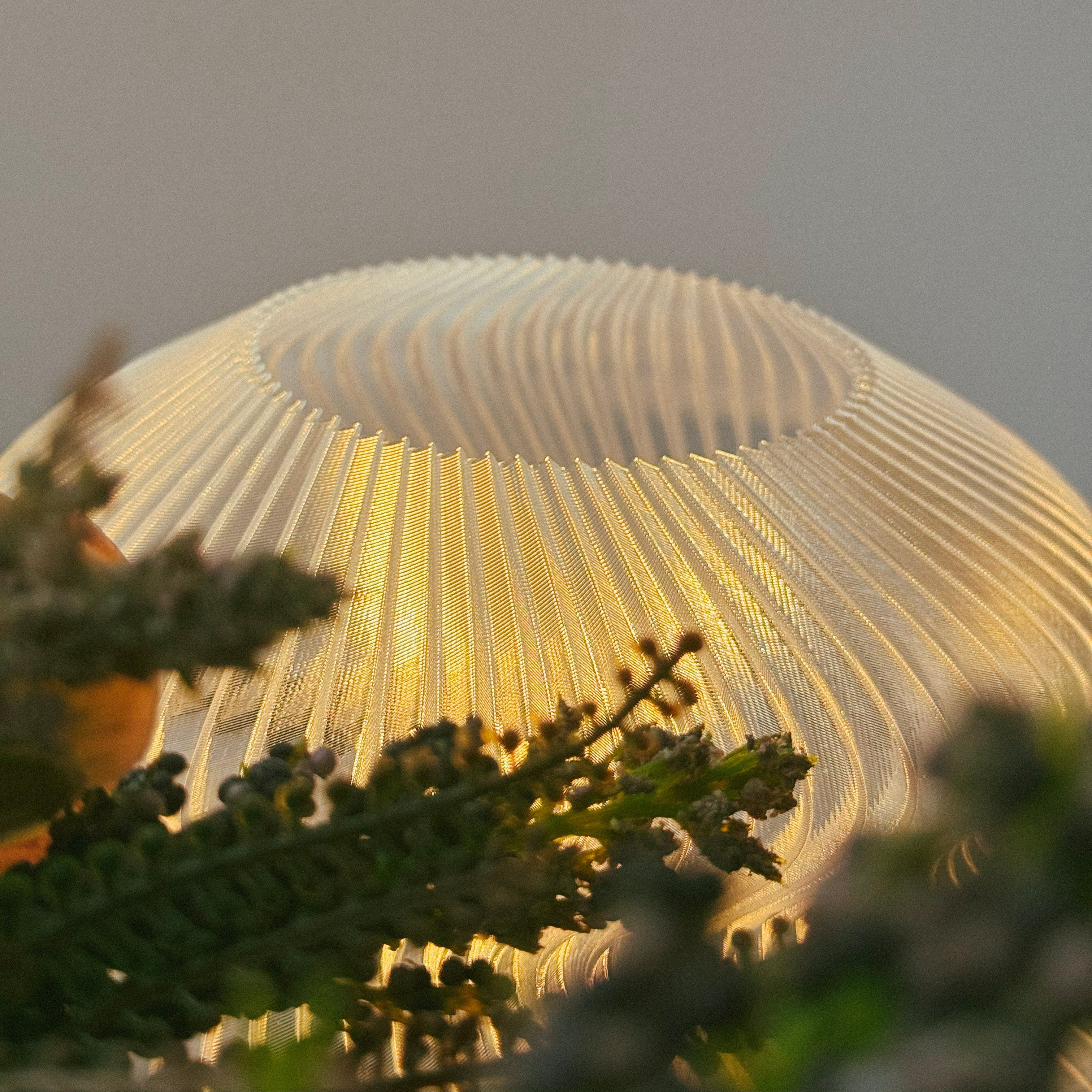 R:4 NAUTILUS LAMP