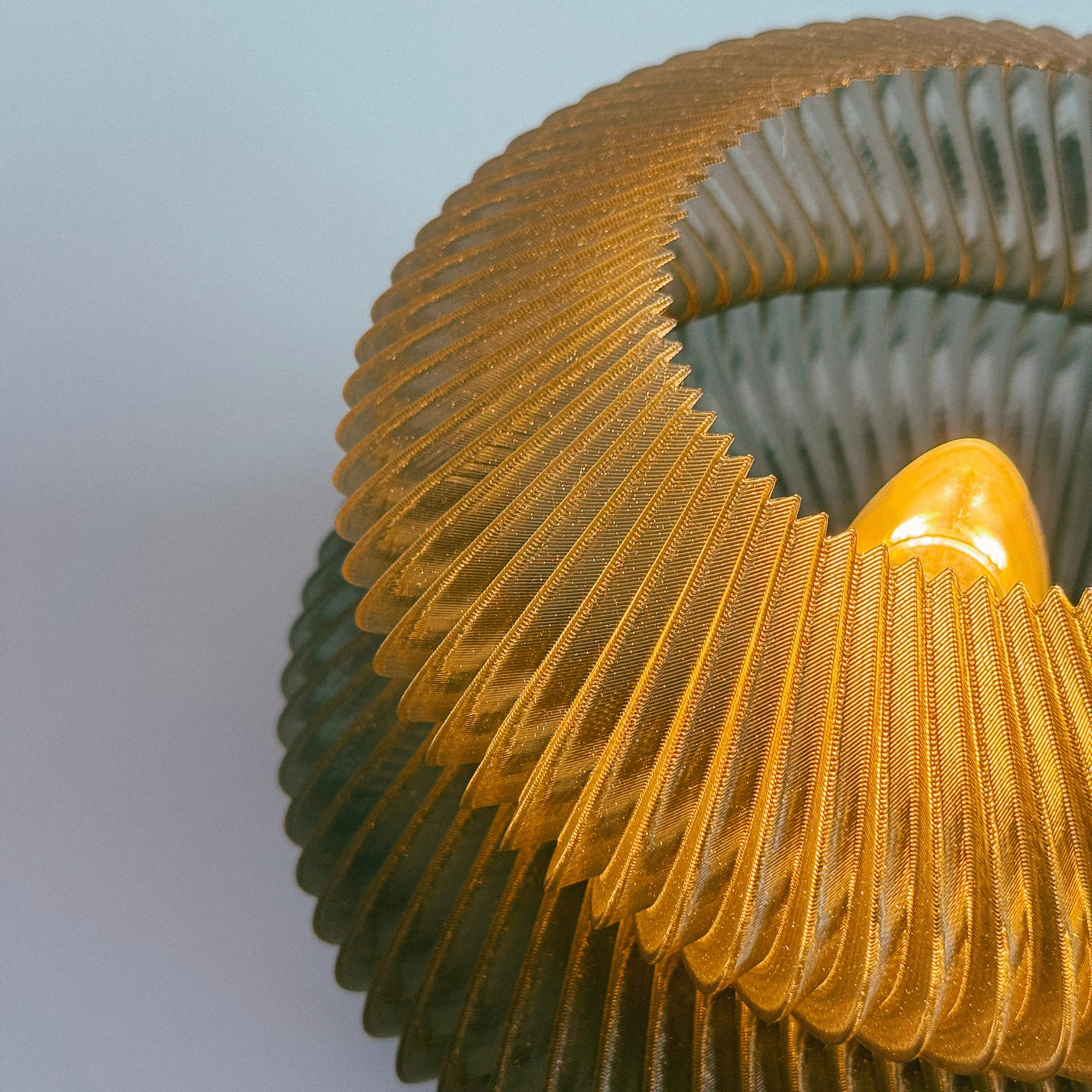 R:4 NAUTILUS LAMP